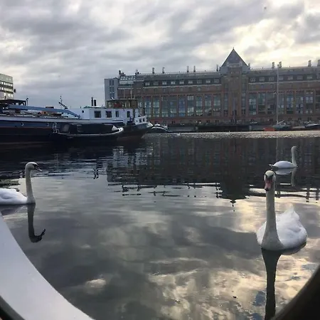 Najade Amsterdam