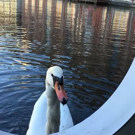 Lägenhet Najade